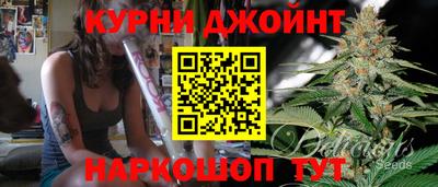 гидра Ставрополь