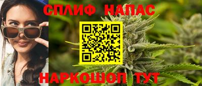 гидра Ставрополь