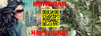 гидра Ставрополь