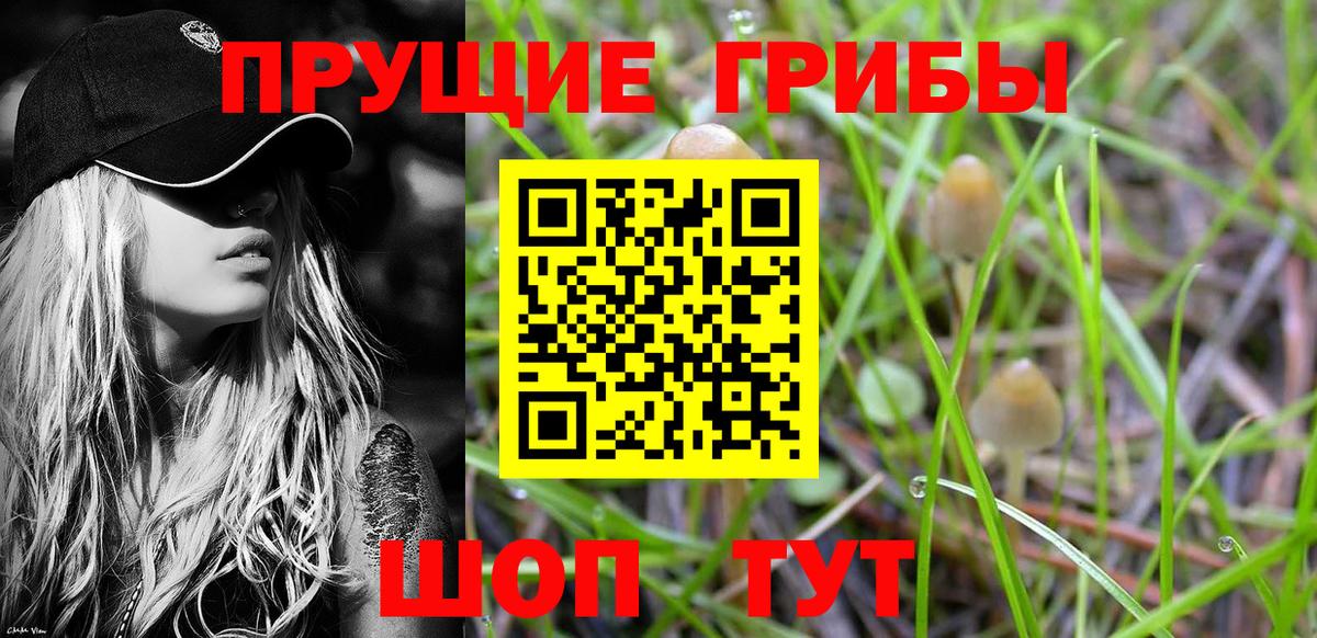 Псилоцибиновые грибы Psilocybe  Вход с VPN  Печора 
