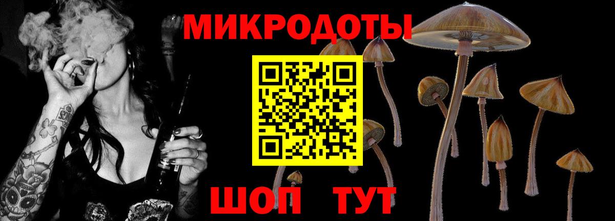 Галлюциногенные грибы прущие грибы Печора